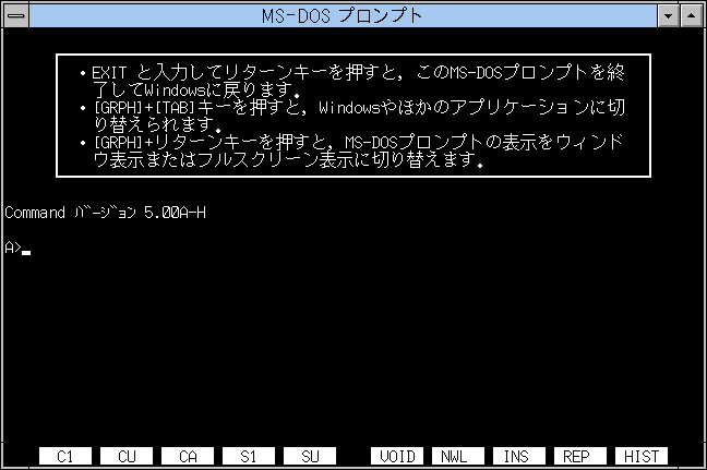 MS-DOSプロンプト