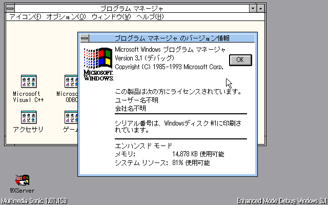 Image: Windows 3.1 デバッグカーネル